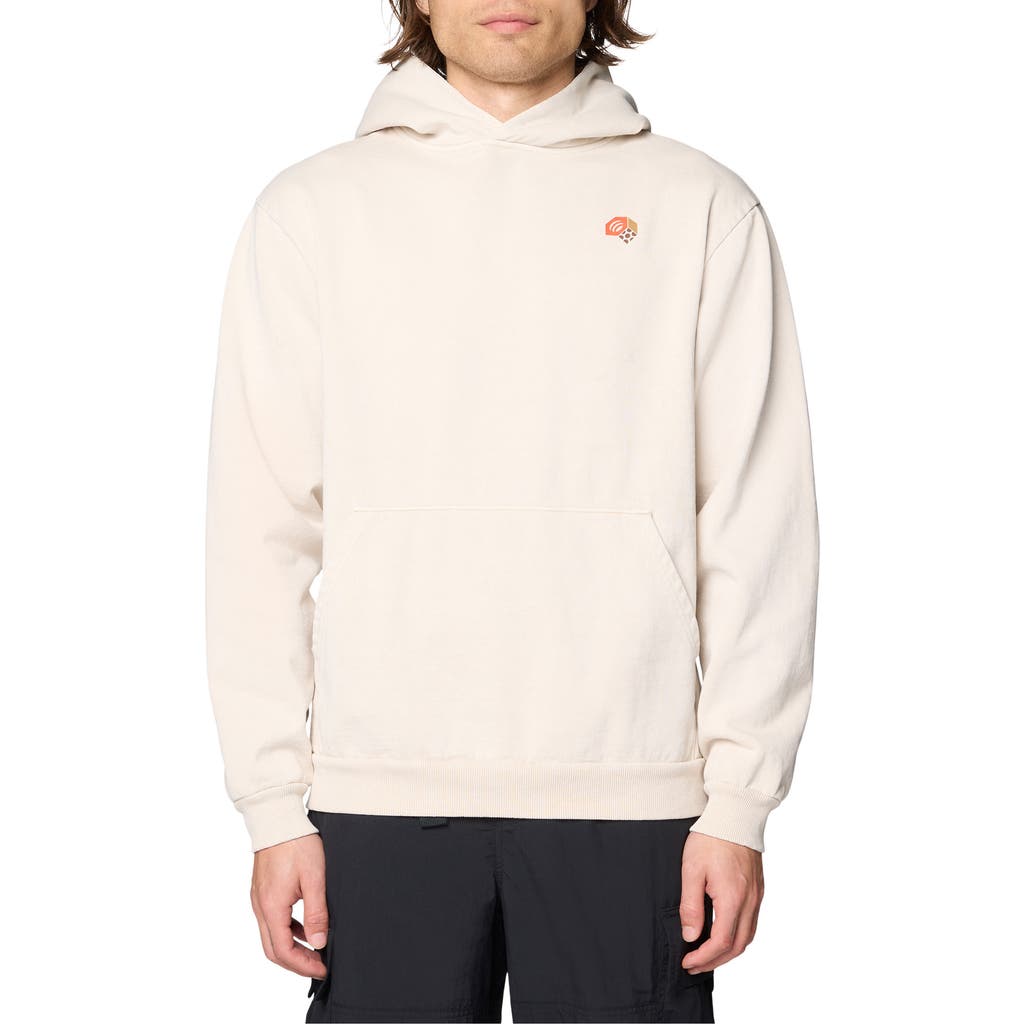 Mountain Hardwear Mountain Hardwear Tricolor Logo Graphic Hoodie