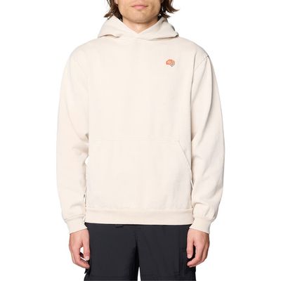 Mountain Hardwear Mountain Hardwear Tricolor Logo Graphic Hoodie