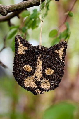 Mr. Bird Bird Seed Cat