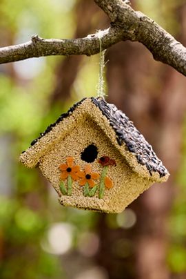 Mr. Bird Fruit + Seed Bird House