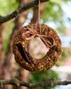 Mr. Bird Hot Pepper Squirrel-Resistant Bird Seed Wreath - 1