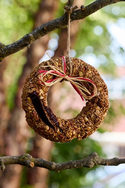 Mr. Bird Hot Pepper Squirrel-Resistant Bird Seed Wreath