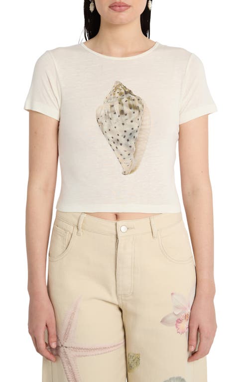 Muse Assembly Muse Assembly Shell Graphic Tee