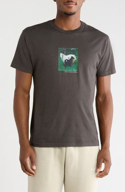 Museum of Peace & Quiet Museum of Peace & Quiet Pasture Graphic T-Shirt