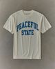 Museum of Peace & Quiet Museum Of Peace & Quiet Peaceful State Graphic Tee in White, Men's at Urban Outfitters - 1