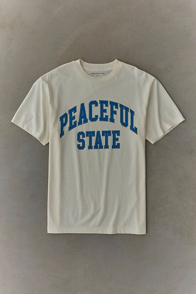 Museum of Peace & Quiet Museum Of Peace & Quiet Peaceful State Graphic Tee in White, Men's at Urban Outfitters