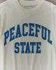 Museum of Peace & Quiet Museum Of Peace & Quiet Peaceful State Graphic Tee in White, Men's at Urban Outfitters - 2
