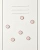 Mustard Made The Magnetic Buttons - 1
