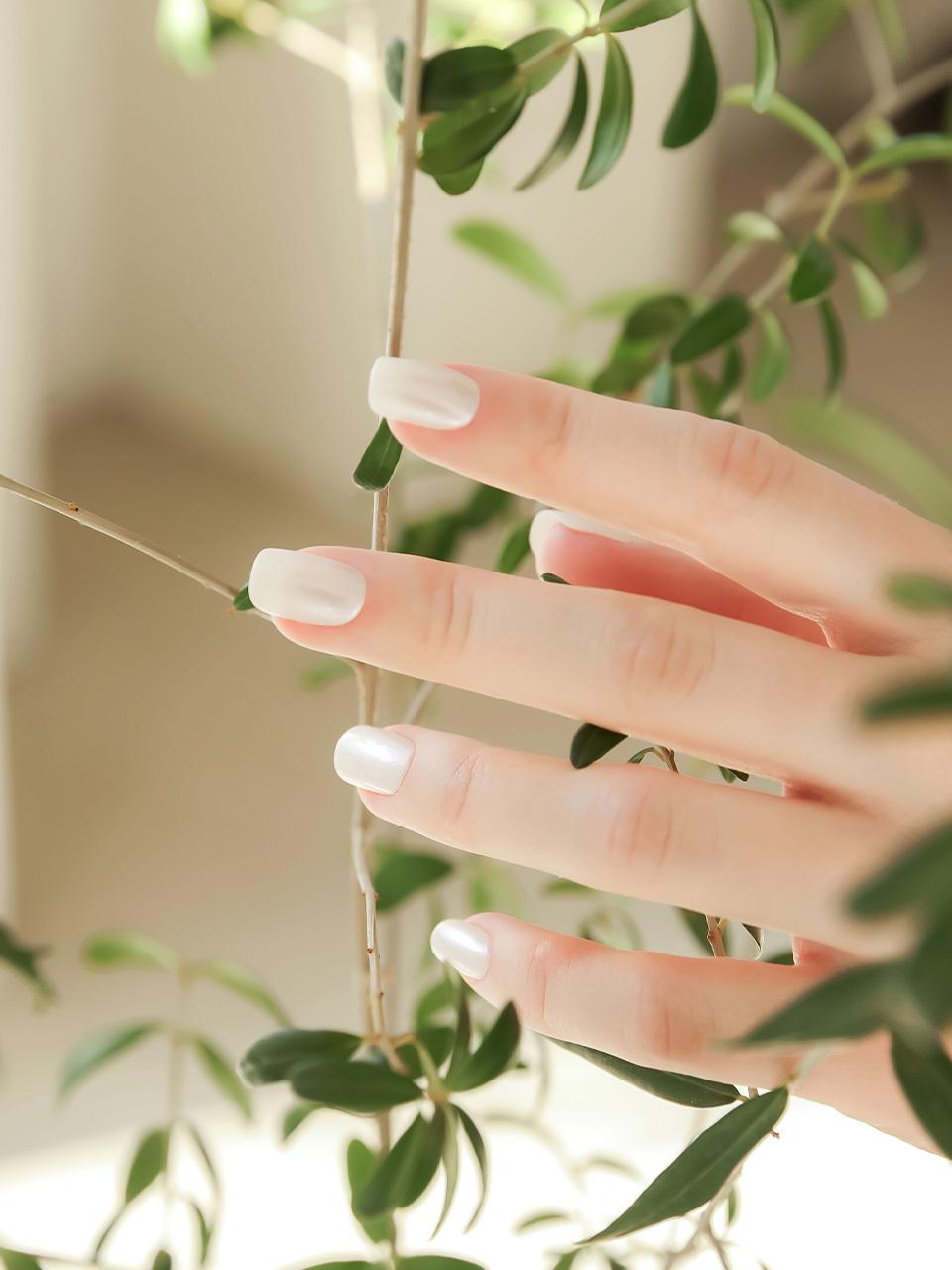 MUZMAK Resilient Nail Tip Seed Pearl (Regular Square)