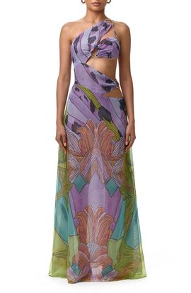 Naked Wardrobe Naked Wardrobe Print Sheer Chiffon Cutout Maxi Dress