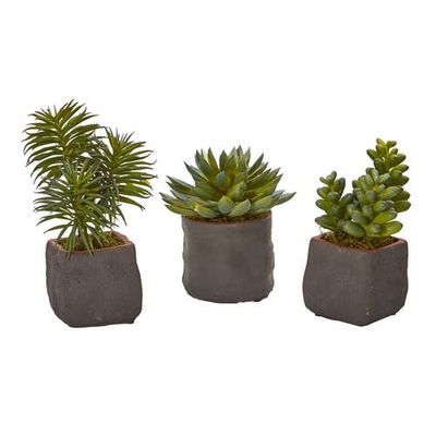 NEARLY NATURAL NEARLY NATURAL Mixed Succulent Trio Artificial Plant