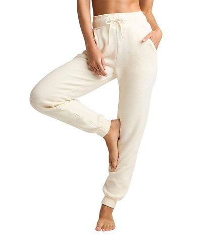 Negative Negative Waffle Knit Jogger