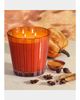 NEST New York 43.7 oz. Pumpkin Chai Candle - 3