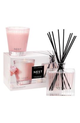 NEST New York NEST New York Himalayan Salt & Rosewater Classic Candle & Reed Diffuser Duo Set (Nordstrom Exclusive) $115 Value 