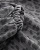 NEXT NEXT Animal Print Wrap Shirt - 3