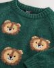 NEXT NEXT Kids' Lion Appliqué Sweater - 3