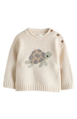 NEXT NEXT Kids' Turtle Sweater
