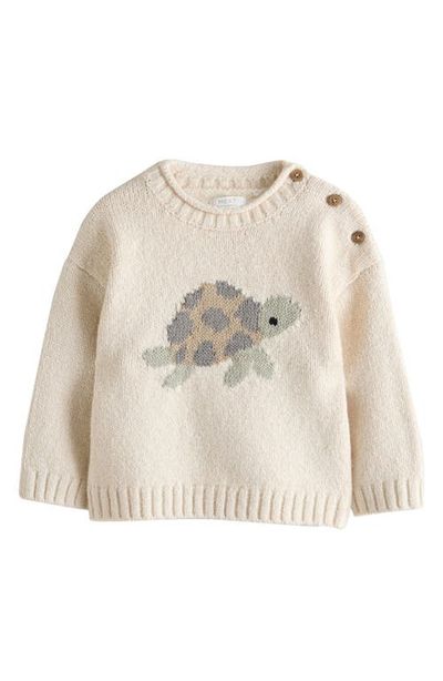 NEXT NEXT Kids' Turtle Sweater
