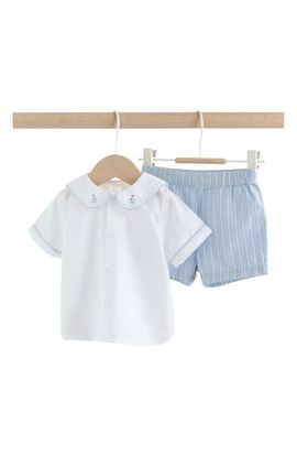 NEXT NEXT Nautical Button-Up Shirt & Stripe Shorts Set