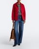 Nili Lotan Nili Lotan Joni fringed suede tote bag - 5