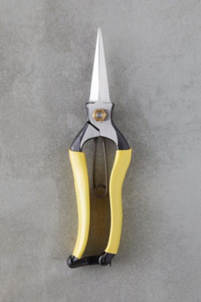 Niwaki Lightweight Hybrid Snips