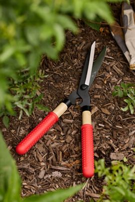 Niwaki Mini Shears