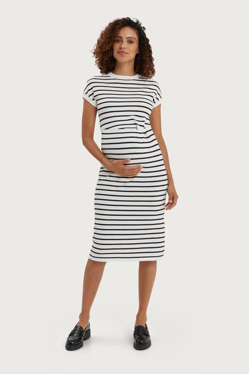 Nom Maternity Nom Maternity Lydia Maternity & Nursing Knee Length Dress
