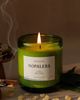 Nopalera Nopalera Tepoztlan Candle Tepoztlan 8.5 oz/250 - 3