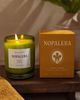 Nopalera Nopalera Todos Santos Candle Todos Santos 8.5 oz/250 - 5