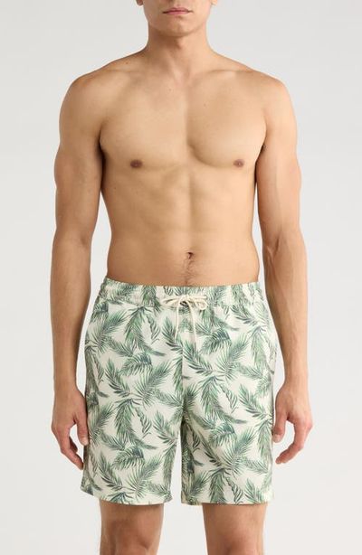 Nordstrom Nordstrom 7-Inch Volley Swim Shorts