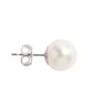 Nordstrom Nordstrom Akoya Pearl Stud Earrings - 5