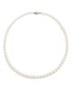 Nordstrom Nordstrom Freshwater Pearl Graduated Necklace - 1