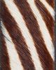 Nordstrom Nordstrom Janae Genuine Calf Hair Belt - 2