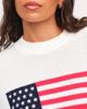 nuuds nuuds Americana Graphic Sweater - 4