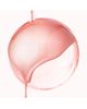 Nuxe Nuxe Huile Prodigieuse Floral Shimmering Roll-On. - 2