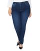 Nydj Plus Nydj Plus Sheri High Rise Slim Jeans in Quinn - 1