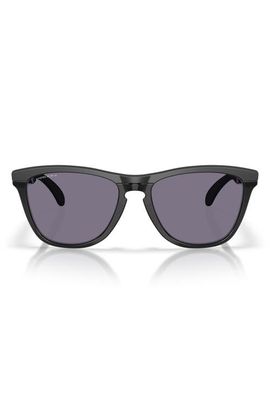 Oakley Oakley Frogskins Range XL 58mm Round Sunglasses
