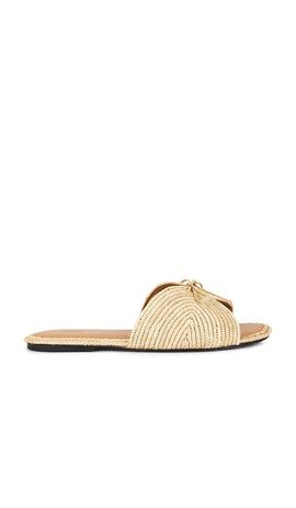 Odissi Odissi Lipa Sandal