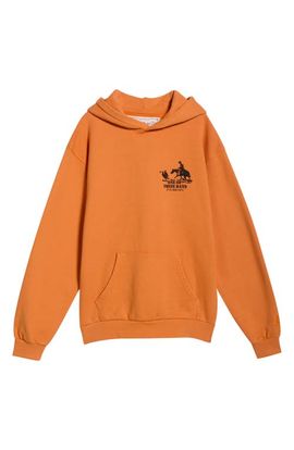 ONE OF THESE DAYS ONE OF THESE DAYS Roundup Fleece Graphic Hoodie