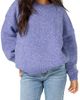 O'Neill O'Neill Bayou Heather Crewneck Sweater - 1