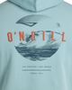 O'Neill O'Neill Big & Tall Surf Sesh Classic Hoodie - 4