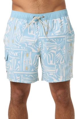 O'Neill O'Neill Hermosa Retro Swim Trunks