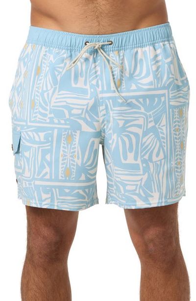 O'Neill O'Neill Hermosa Retro Swim Trunks