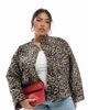 Only Curve ONLY Curve quilted jacket in animal print-Brown - 1