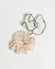 ONLY ONLY 2-pack polka dots scrunchies in beige & white-Neutral - 1