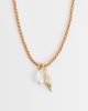 ONLY ONLY seashells cord necklace in multi - 1