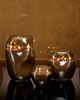 Onno Cape Champagne Small Sage Candle - 4