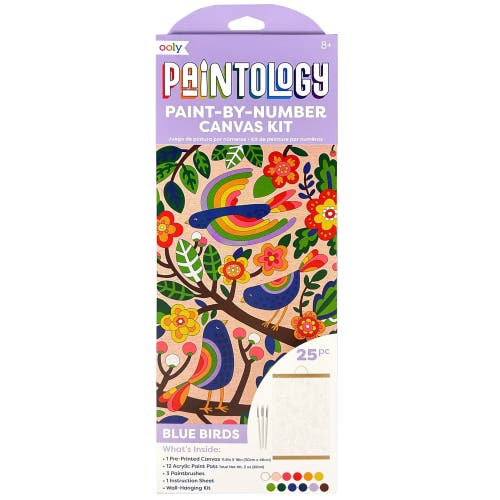 OOLY OOLY Paintology Paint By Number Birds Canvas Kit