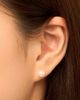 Oradina Women's 14K Yellow Gold Bold Princess Pearl Studs - 2