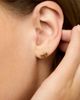Oradina Women's 14K Yellow Gold Bow Studs - 3